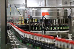 數(shù)字技術(shù)服務(wù)暗流洶涌 湖南知名企業(yè)47億“蛇吞象”收購背后的危機(jī)警示