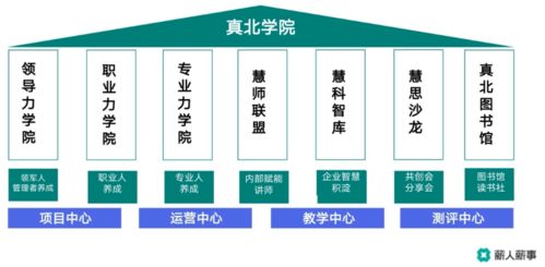 薪人薪事線上沙龍 以數(shù)字化創(chuàng)新技術(shù)為引擎，驅(qū)動(dòng)學(xué)習(xí)型組織構(gòu)建